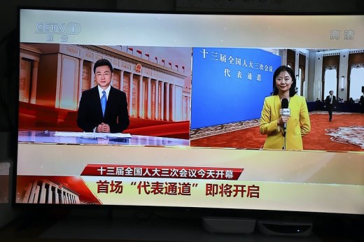 十三届全国人大三次会议首场“代表通道” 接受新闻媒体采访