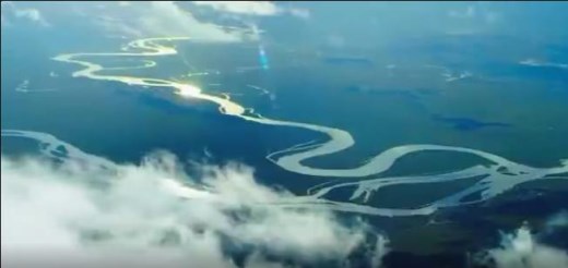 让大流量澎湃正能量：2021中国网络媒体论坛开幕