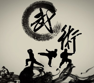 中华武术欣赏