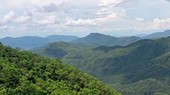 中国国家公园系列之海南热带雨林国家公园绝美风景