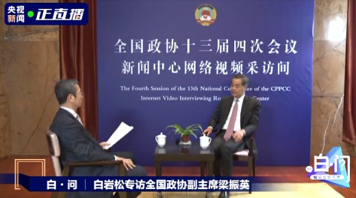 白岩松：会不会有人扮演爱国？梁振英：有这个可能