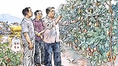 清华教授为八十多岁的扶贫干部绘制连环画