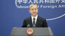 大熊猫受威胁程度由濒危降为易危 外交部：中国环保故事精彩纷呈