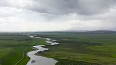 美丽湿地 生态画卷