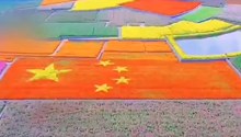 国庆献礼！航拍江苏2500平方花海拼成巨幅国旗 火红色硫华菊惊艳亮相
