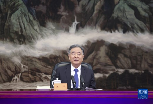 汪洋会见新党主席吴成典一行